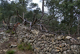 DSC06221 -1_t.jpg